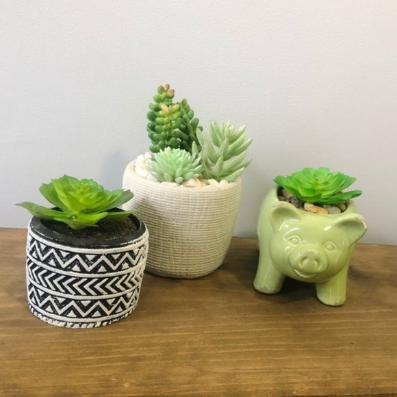 Faux succulents 3 - Picture 3 of 5